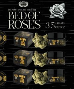 Hitz Premium Indoor Bed of Roses Flower