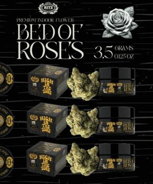 Hitz Premium Indoor Bed of Roses Flower